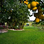 Quinta Do Olival Country house