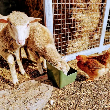 Casa rural Quinta Do Olival Arcos de Valdevez