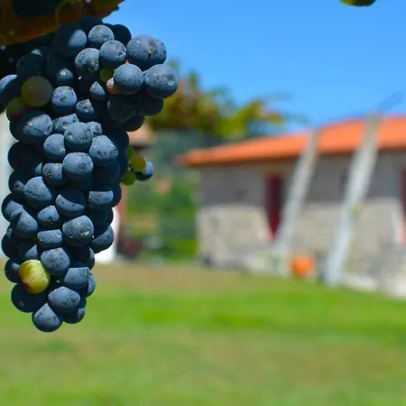 Quinta Do Olival Casa rural