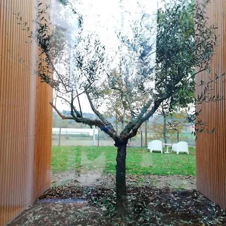 Séjour à la campagne Quinta Do Olival *