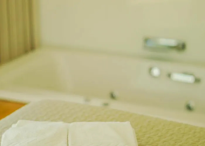 Landhuis Quinta Do Olival *