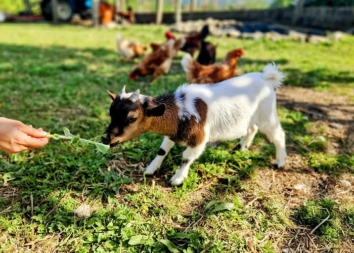 Landhaus Quinta Do Olival