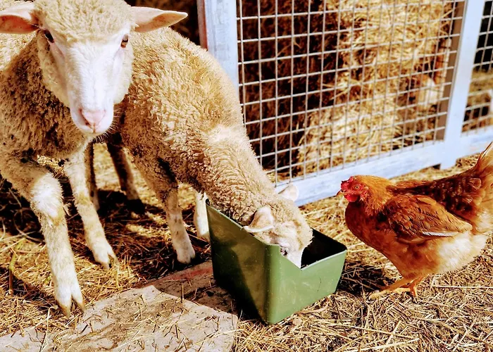 Landhaus Quinta Do Olival Arcos de Valdevez