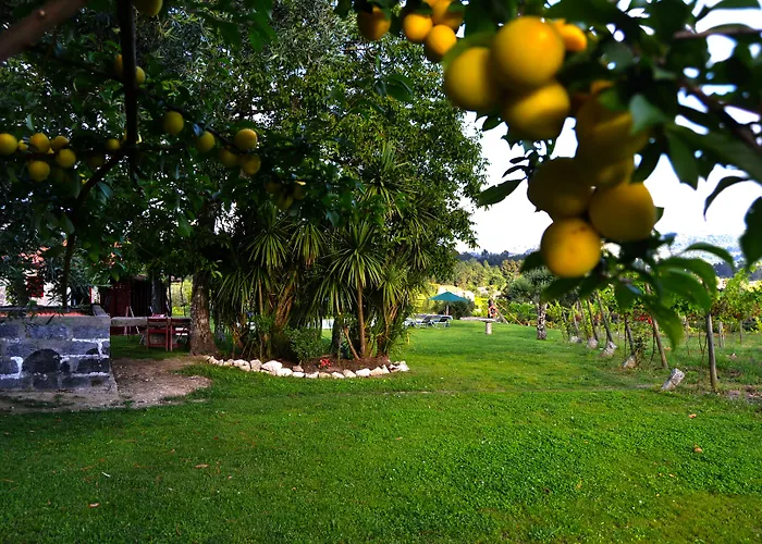 Quinta Do Olival Landhaus