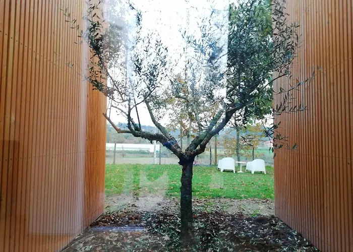 Gospodarstwo wiejskie Quinta Do Olival *